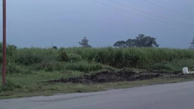 Man Riding a Bike Along a Rural Road in Tucuman Province, Argentina.  