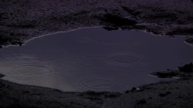 Akşamları koyu mavi bir su birikintisine düşen yağmur damlaları. Kapat.. 