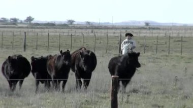 Young Boy riding a Horse in the Countryside of Buenos Aires Province, Argentina.