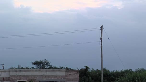 Sunset View Power Lines Trinidad Tucuman Argentina — Stockvideo