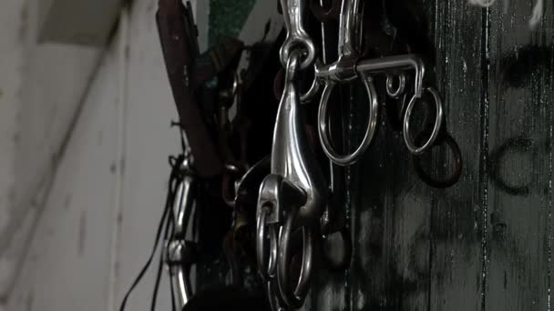 Traditional Gaucho Riding Gear Used Ride Horses Hanging Wall Stable — Stockvideo