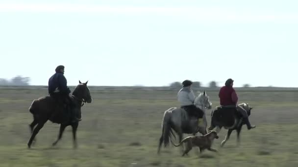 Young Kid Two Men Riding Horses Countryside Argentina — стокове відео