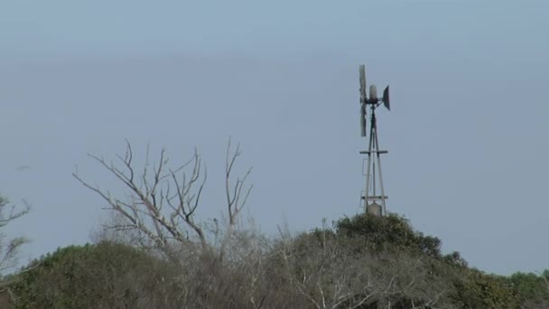 Old Windmill Farm Buenos Aires Province Argentina — Stockvideo