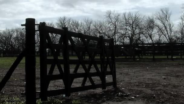 Rustic Wooden Farm Fence Gate Rural Field Argentina — Vídeos de Stock