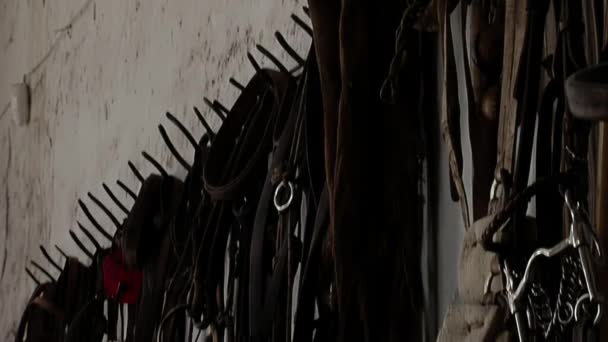 Traditional Gaucho Riding Gear Used Ride Horses Hanging Wall Stable — ストック動画