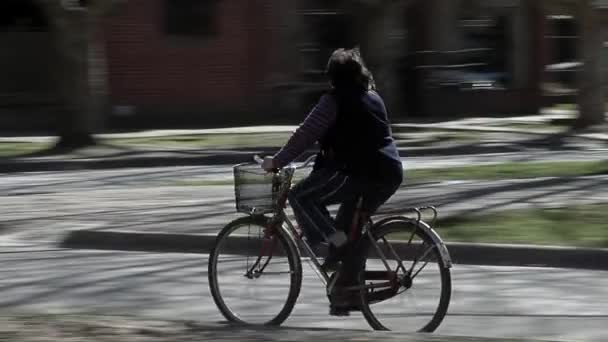 Woman Riding Bicycle Street General Madariaga Buenos Aires Province Argentina — Stockvideo