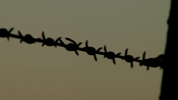 Silhouette Barbed Wire Fence Sunset Close — ストック動画