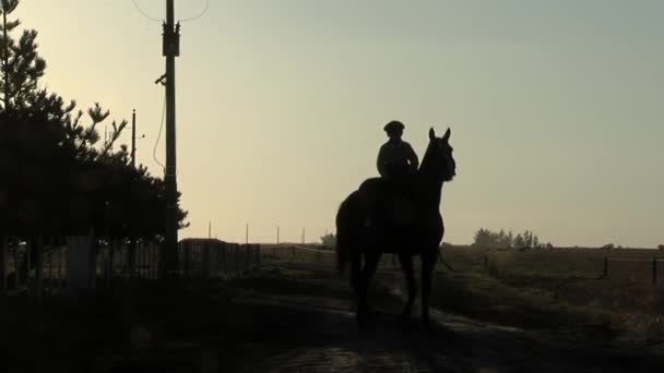 Мальчик Верхом Лошади Закате Сельской Местности Провинции Прованс Аргентина — стоковое видео