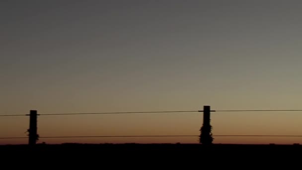 Silhouet Van Een Jonge Jongen Kijkend Naar Zonsondergang Een Plattelandsboerderij — Stockvideo