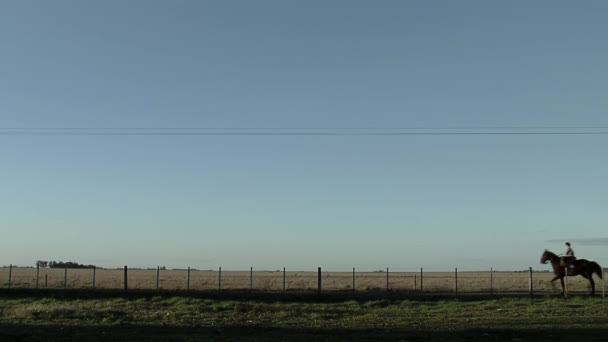 Мальчик Верхом Лошади Закате Сельской Местности Провинции Прованс Аргентина — стоковое видео