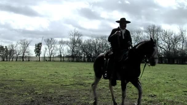 Gaucho Riding Horse Estancia Small Farm Buenos Aires Province Argentina — Stock Video