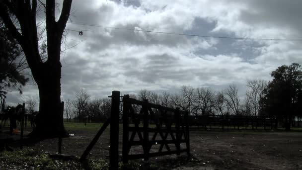 Rustic Wooden Farm Fence Gate Rural Field Argentina — Vídeo de Stock