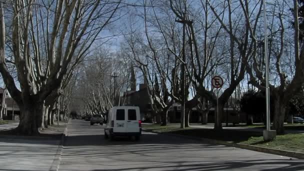 Road Leafless Trees Buenos Aires Province Argentina — Video Stock