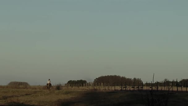 Young Boy Riding Horse Sunset Countryside Buenos Aires Province Argentina — Stockvideo