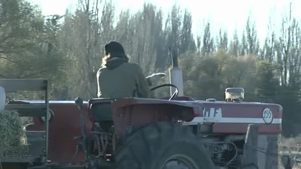 Young Man Driving Old Tractor Rural Field Argentina — Wideo stockowe