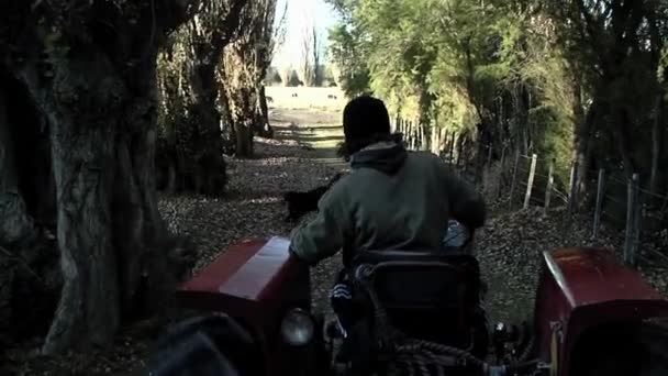 Młody Człowiek Jeżdżący Starym Ciągnikiem Wzdłuż Dirt Road Argentynie — Wideo stockowe