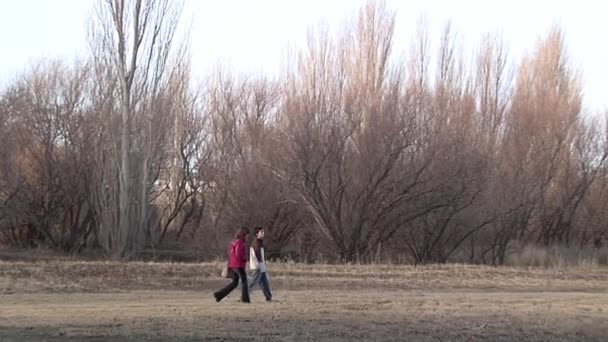 Два Студента Идущие Вместе Сельском Поле Гаймане Чубут Аргентина — стоковое видео