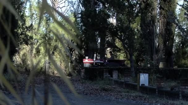 Young Man Driving Old Tractor Pulling Cart Loaded Hay Rural — Vídeo de Stock