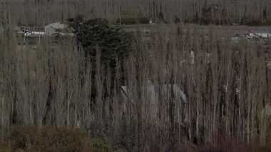 Gaiman Yüksek Açılı Manzarası, Trelew, Chubut Eyaleti yakınlarındaki Galler Koloni Köyü, Patagonya, Arjantin, Güney Amerika. 