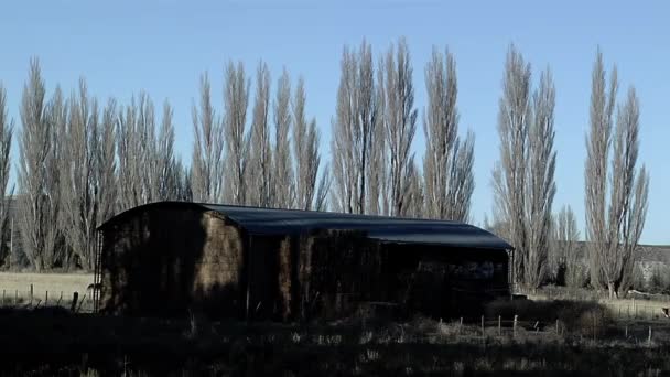 Old Barn Gaiman Chubut Province Patagonia Argentina — Wideo stockowe