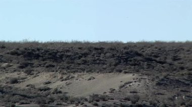 Gaiman, Chubut, Patagonya, Arjantin yakınlarındaki Horizon 'da bir Guanaco silueti..  