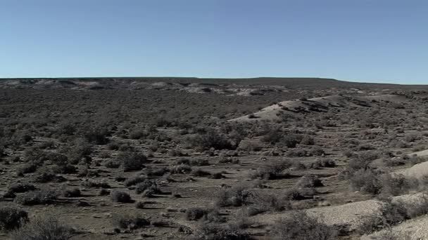 Patagonian Landscape Gaiman Chubut Province Argentina — Video