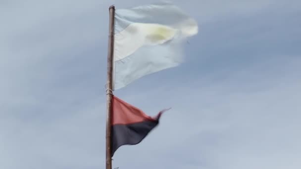 Una Bandera Roja Negra Advertencia Playa Una Bandera Nacional Argentina — Vídeos de Stock