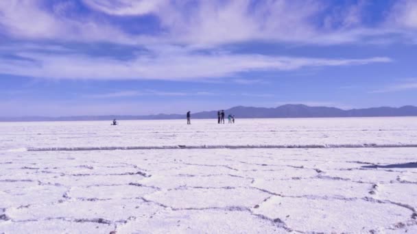 Young Woman Walking Salinas Grandes Jujuy Province North West Argentina — Video Stock