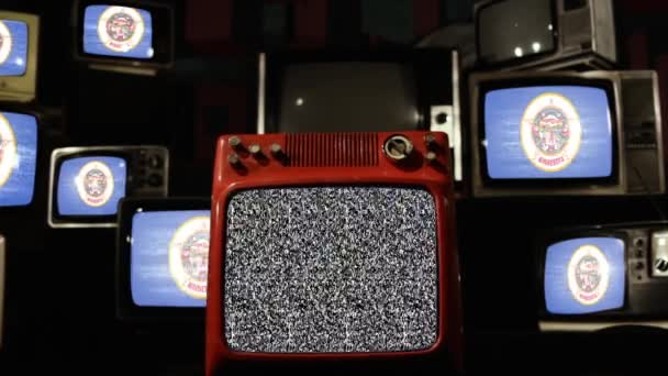 Minnesota Vintage Televizyon Bayrağı — Stok video