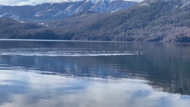 Man Kayaking Lake Lacar Quila Quina Village Patagonia Argentina Resolución — Vídeo de stock