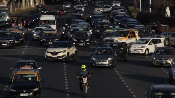 Figueroa Alcorta Avenue Dzielnicy Recoleta Buenos Aires Stolicy Argentyny Rozdzielczość — Wideo stockowe