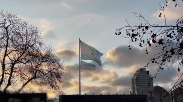 Zászló Argentína Sunset Buenos Aires Ben Felbontás — Stock videók
