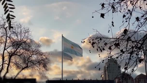 アルゼンチンの旗は アルゼンチンのブエノスアイレスのサンセットで 4K解像度 — ストック動画