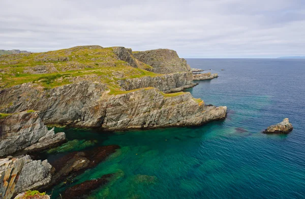 Pobřežní skály v newfoundland — Stock fotografie