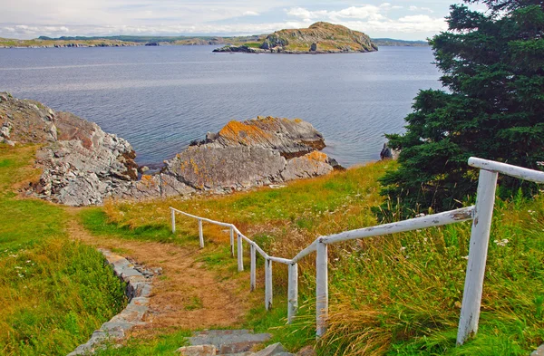 Sentier le long de la côte océanique — Photo