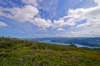 Yaz aylarında bir dağın görüntülemek