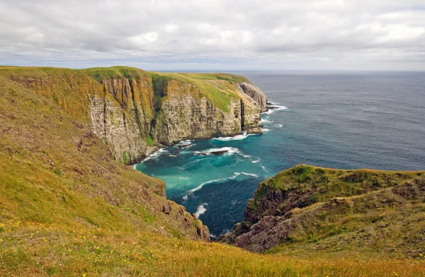 Meadows and Ocean Cliffs — Stock Photo, Image