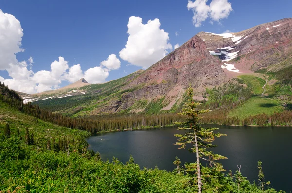 Sommar i mountain väst — Stockfoto