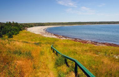 bir uzak ocean cove iz