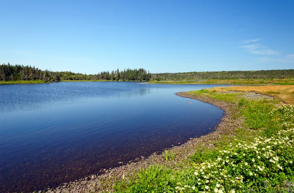Coastal Lagoon on a Summer Day — Stock Photo, Image