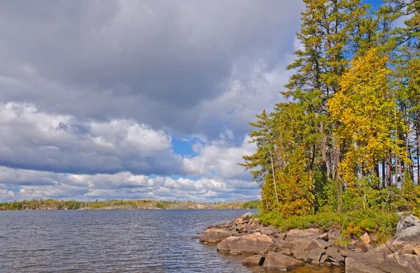 Herfst kleuren en wolken in het Noord-bos — Stockfoto
