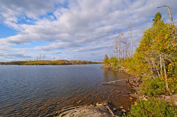 Late Afternoon in the Boundary Waters — Stock Photo, Image