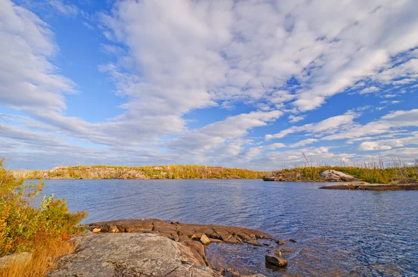 Bright fall skies in the North Woods — Stock Photo, Image