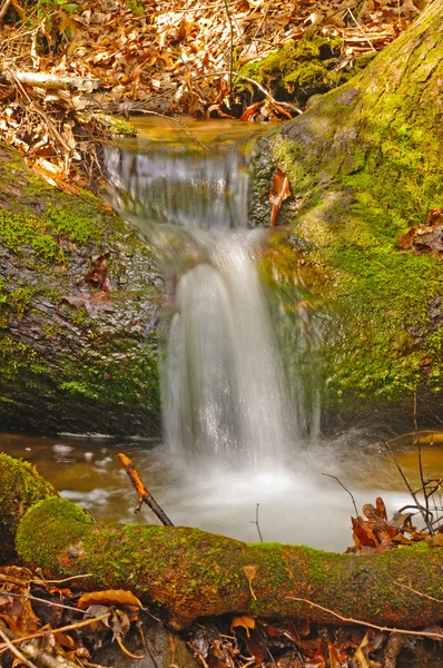 Ruisseau montagneux traversant un tronc — Photo