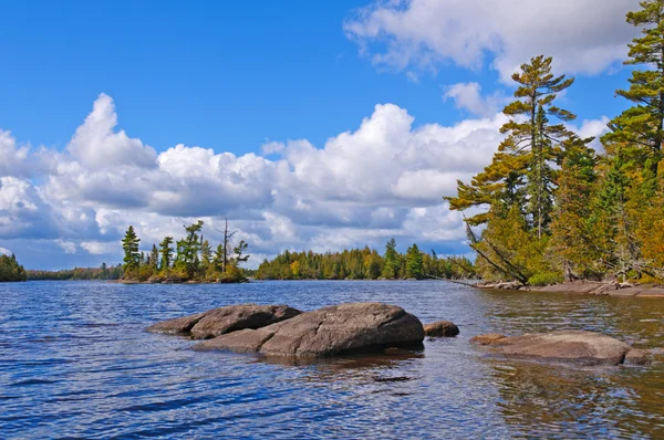 Un día soleado en el bosque del norte — Foto de Stock