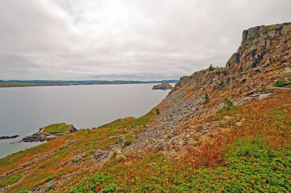 Ocean Cliffs na costa da Terra Nova — Fotografia de Stock