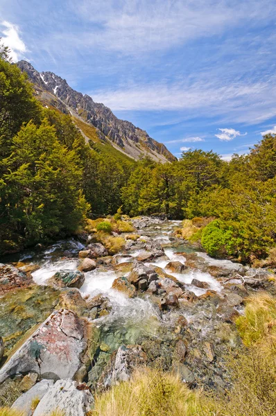 Gebirgsbach in der Wildnis — Stockfoto