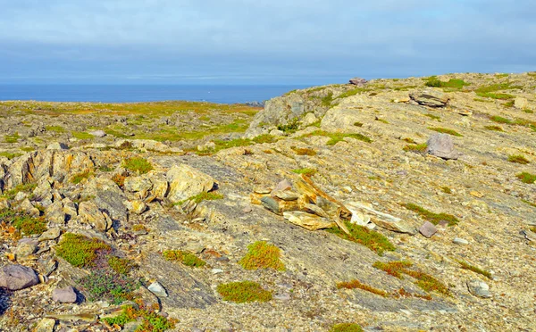 Barren Rock on the Atlantic Coast — Stock Photo, Image