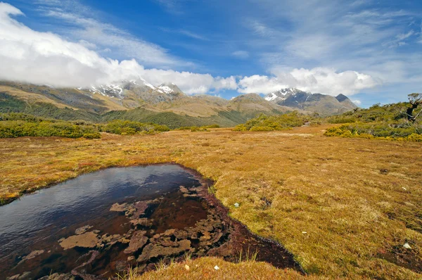 Pradera y montañas en una meseta remota — Foto de Stock