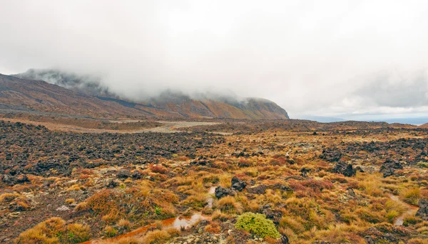 在阴天的火山平原 — 图库照片